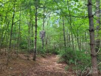 99999 Old Yellow Mountain Road, Marion, NC 28752, MLS # 4159629 - Photo #6