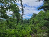 99999 Old Yellow Mountain Road, Marion, NC 28752, MLS # 4159629 - Photo #34