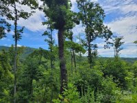 99999 Old Yellow Mountain Road, Marion, NC 28752, MLS # 4159629 - Photo #43