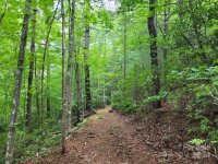 99999 Old Yellow Mountain Road, Marion, NC 28752, MLS # 4159629 - Photo #44