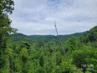 99999 Old Yellow Mountain Road, Marion, NC 28752, MLS # 4159629 - Photo #21