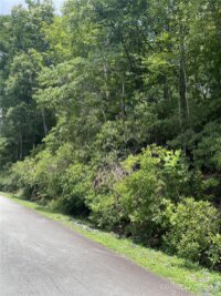 Winterstar Loop # 17, Burnsville, NC 28714, MLS # 4160021 - Photo #4