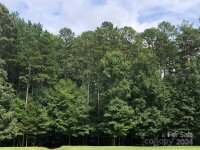 2318 Salute Boulevard Unit 39, Mint Hill, NC 28227, MLS # 4160640 - Photo #2