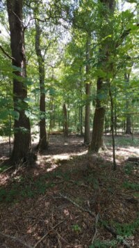 Traywick Road, Peachland, NC 28133, MLS # 4162837 - Photo #7