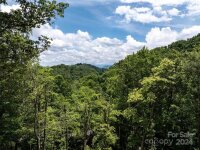 Tapestry Trail, Waynesville, NC 28785, MLS # 4163936 - Photo #4