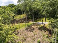 Tapestry Trail, Waynesville, NC 28785, MLS # 4163936 - Photo #6