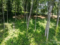 Sleepy Hollow Drive, Waynesville, NC 28785, MLS # 4163987 - Photo #10