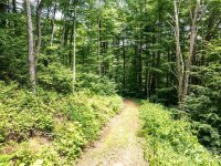 Hardy Branch Trail, Waynesville, NC 28785, MLS # 4164045 - Photo #27