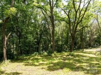 Hardy Branch Trail, Waynesville, NC 28785, MLS # 4164045 - Photo #3