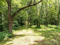 Hardy Branch Trail, Waynesville, NC 28785, MLS # 4164045 - Photo #7