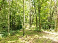 Hardy Branch Trail, Waynesville, NC 28785, MLS # 4164045 - Photo #8