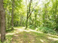 Hardy Branch Trail, Waynesville, NC 28785, MLS # 4164045 - Photo #9