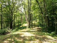 Hardy Branch Trail, Waynesville, NC 28785, MLS # 4164045 - Photo #11