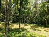 Hardy Branch Trail, Waynesville, NC 28785, MLS # 4164045 - Photo #25