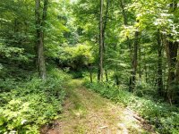 Hardy Branch Trail, Waynesville, NC 28785, MLS # 4164045 - Photo #26