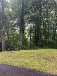 River Ridge Parkway, Tuckasegee, NC 28783, MLS # 4164125 - Photo #3