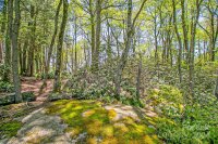 2 Laurel Ledge Way # 15, Fletcher, NC 28732, MLS # 4164145 - Photo #5