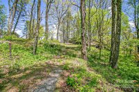 2 Laurel Ledge Way # 15, Fletcher, NC 28732, MLS # 4164145 - Photo #12