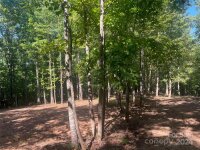 1434 Saratoga Woods Drive Unit 9, Waxhaw, NC 28173, MLS # 4164250 - Photo #4