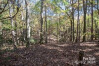 4444 Slanting Bridge Road, Sherrills Ford, NC 28673, MLS # 4165627 - Photo #3