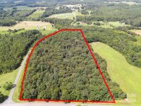 Bud Davis Road, Vale, NC 28168, MLS # 4166491 - Photo #11