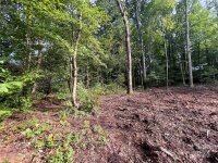 Dogwood Lane, Hendersonville, NC 28792, MLS # 4167394 - Photo #1