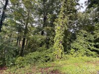 Dogwood Lane, Hendersonville, NC 28792, MLS # 4167394 - Photo #3