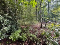 Dogwood Lane, Hendersonville, NC 28792, MLS # 4167394 - Photo #4