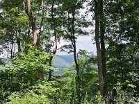 Hurricane Ridge Trace # 53, Clyde, NC 28721, MLS # 4167477 - Photo #1