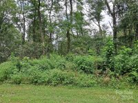 Hurricane Ridge Trace # 53, Clyde, NC 28721, MLS # 4167477 - Photo #4