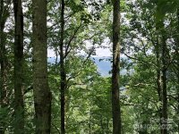 Hurricane Ridge Trace # 53, Clyde, NC 28721, MLS # 4167477 - Photo #5