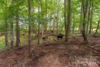 257 Zephyr Mountain Park Road, State Road, NC 28676, MLS # 4167796 - Photo #14