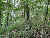 Friendly Acres Drive, Waynesville, NC 28786, MLS # 4167820 - Photo #28