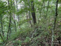 Friendly Acres Drive, Waynesville, NC 28786, MLS # 4167820 - Photo #29