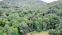 Friendly Acres Drive, Waynesville, NC 28786, MLS # 4167820 - Photo #5