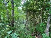 Friendly Acres Drive, Waynesville, NC 28786, MLS # 4167820 - Photo #33