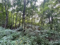 Friendly Acres Drive, Waynesville, NC 28786, MLS # 4167820 - Photo #11