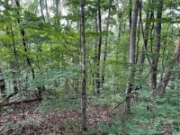 Friendly Acres Drive, Waynesville, NC 28786, MLS # 4167820 - Photo #17