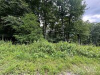 227 Birch Springs Lane, Mars Hill, NC 28754, MLS # 4167863 - Photo #3