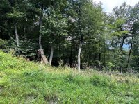 227 Birch Springs Lane, Mars Hill, NC 28754, MLS # 4167863 - Photo #4