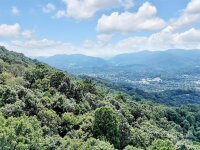 2525 Eagles Nest Road, Waynesville, NC 28786, MLS # 4167928 - Photo #38