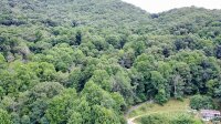 Silverleaf Circle, Waynesville, NC 28786, MLS # 4168539 - Photo #6