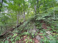 Silverleaf Circle, Waynesville, NC 28786, MLS # 4168539 - Photo #14