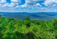 1692 Becky Mountain Road, Brevard, NC 28712, MLS # 4170756 - Photo #38