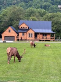 44 Kennerly Cove, Maggie Valley, NC 28751, MLS # 4170966 - Photo #36