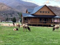 44 Kennerly Cove, Maggie Valley, NC 28751, MLS # 4170966 - Photo #37