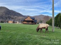 44 Kennerly Cove, Maggie Valley, NC 28751, MLS # 4170966 - Photo #38