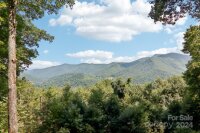 1685 Setzer Cove Road, Maggie Valley, NC 28751, MLS # 4171404 - Photo #31