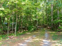 220 Ledbetter Road, Arden, NC 28704, MLS # 4172390 - Photo #31