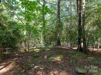 220 Ledbetter Road, Arden, NC 28704, MLS # 4172390 - Photo #14